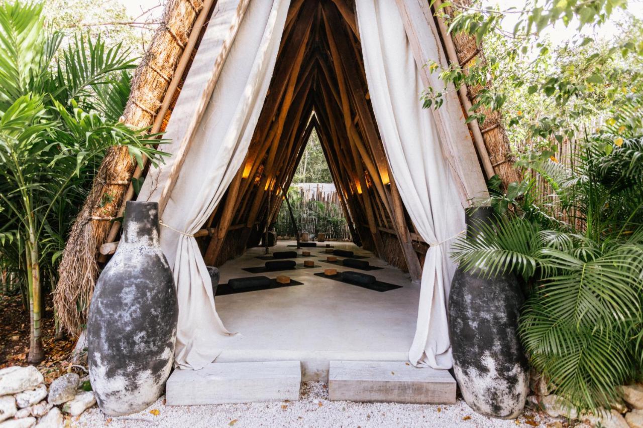 Bardo - Adults Only 5*