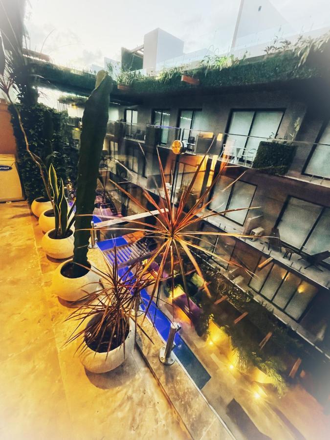 Estudio Asteroide 4*