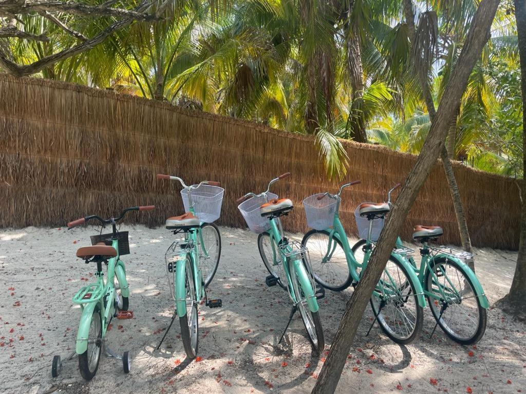 Casa Tolok In Beachfront Villa *