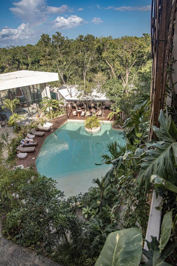 Tu Refugio Exclusivo En Tulum, Dk Jade 3 By Sandy Powerful Apartment Tulum