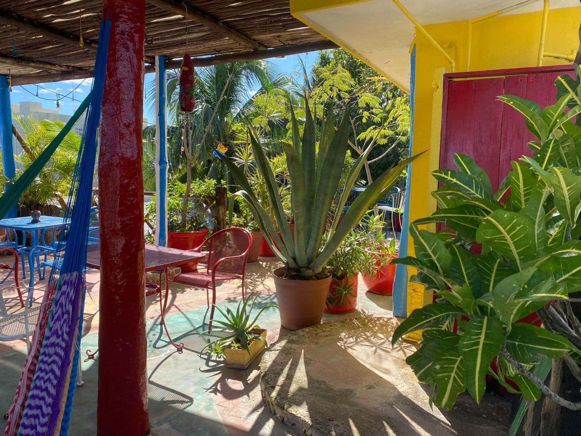 Maison Hotel Tulum