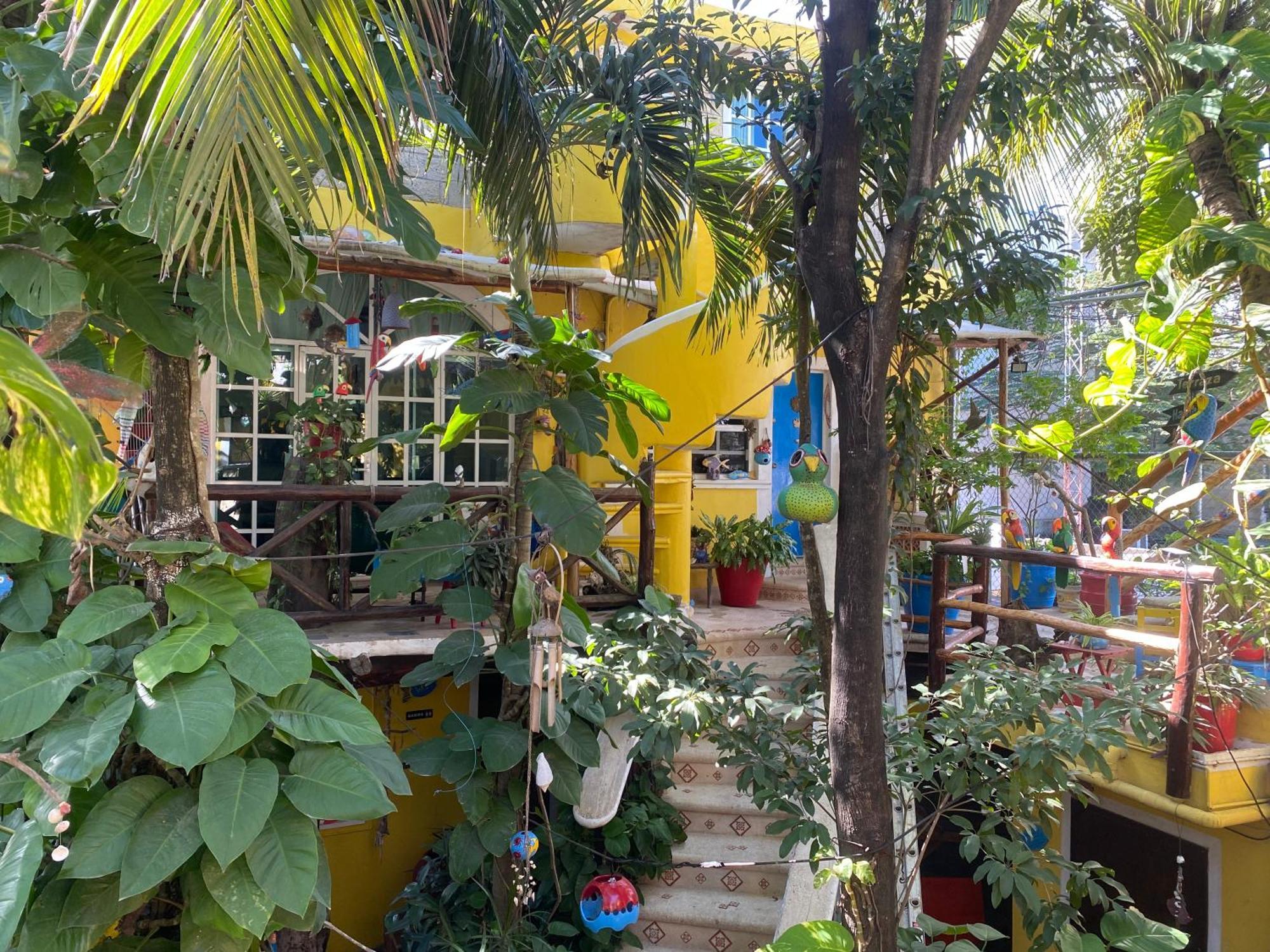 Maison Hotel Tulum