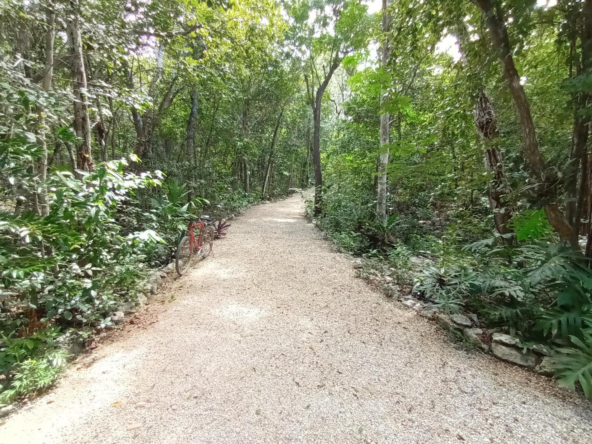 Ixchel Private Pool Tulum