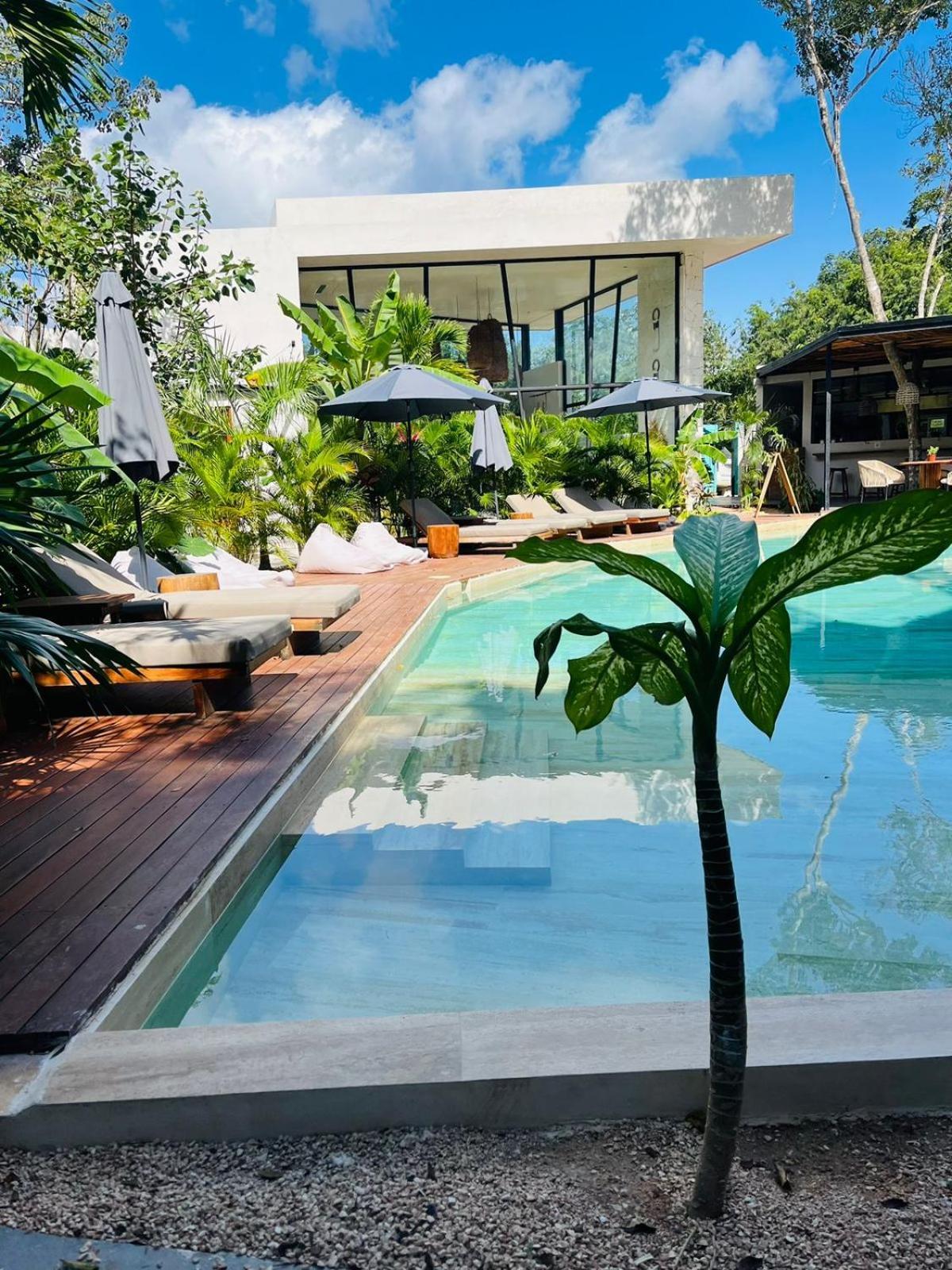 Apartment Departamento En Jade *