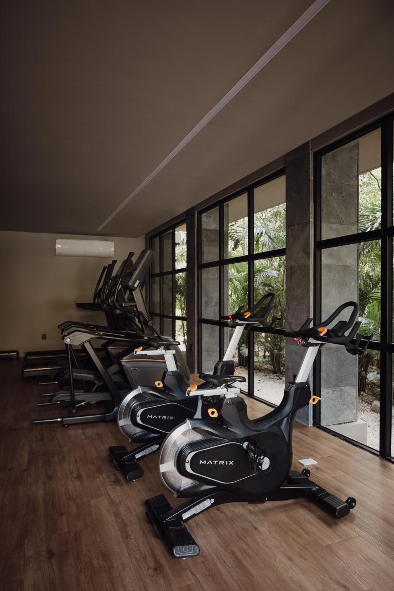 Apartment Art House Gym-pool-rest Tulum