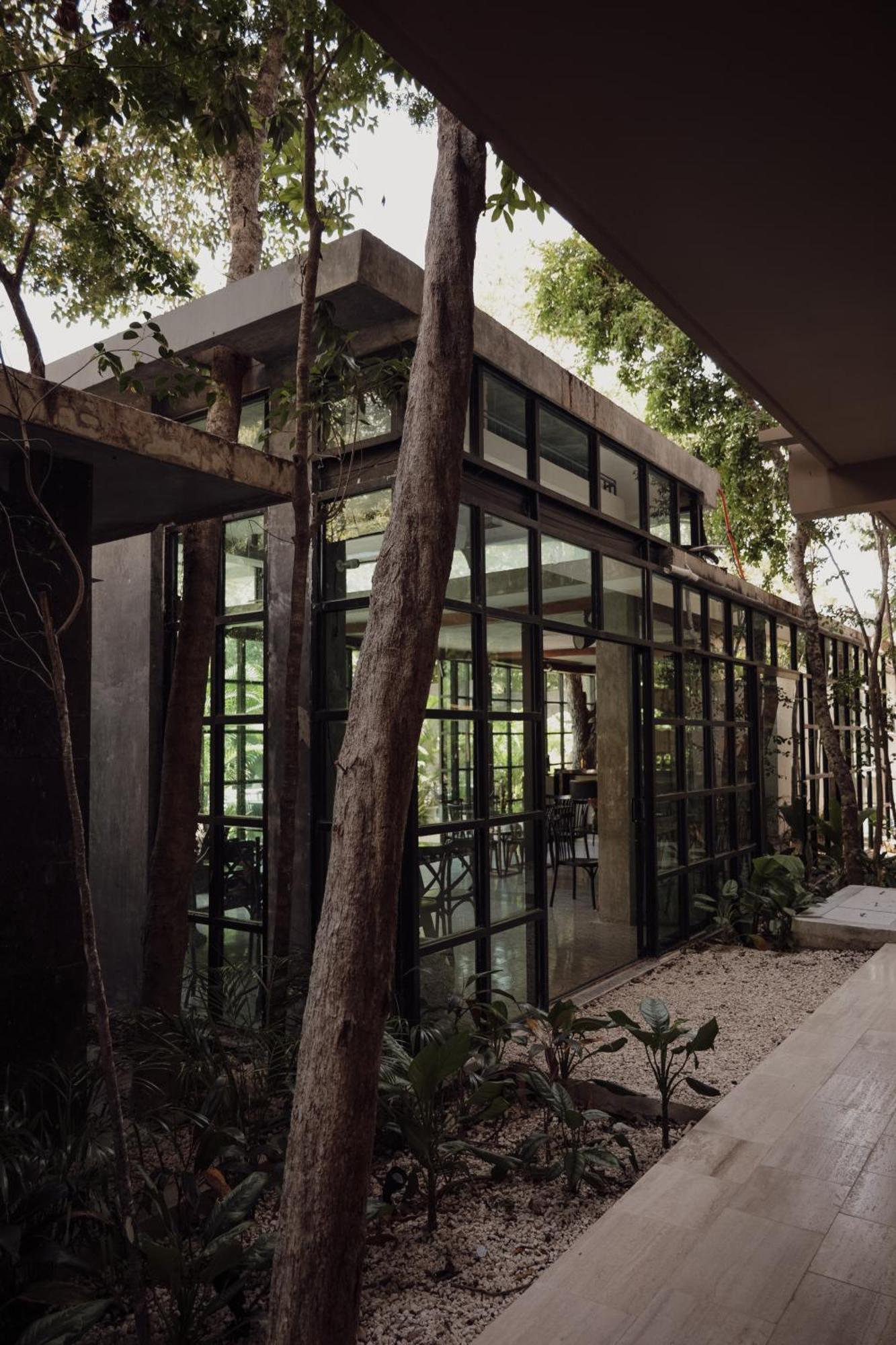 Art House Gym-pool-rest * Tulum