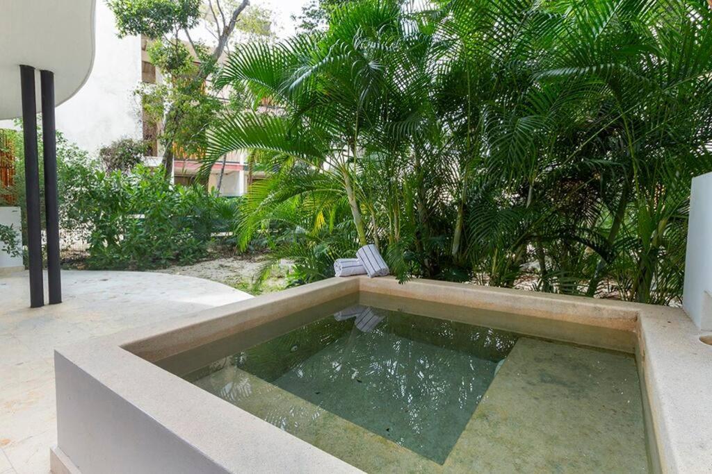 2 Bedroom + Private Pool And Roof Top Terrace Apartment Tulum