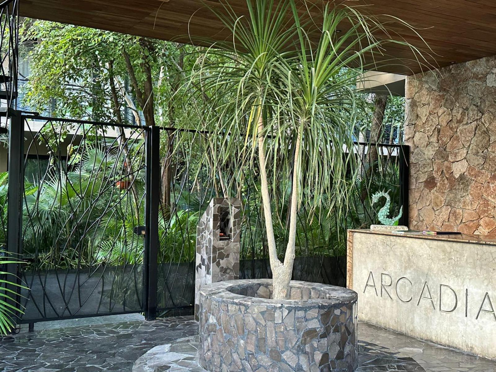 Apartment Casa Serfin *