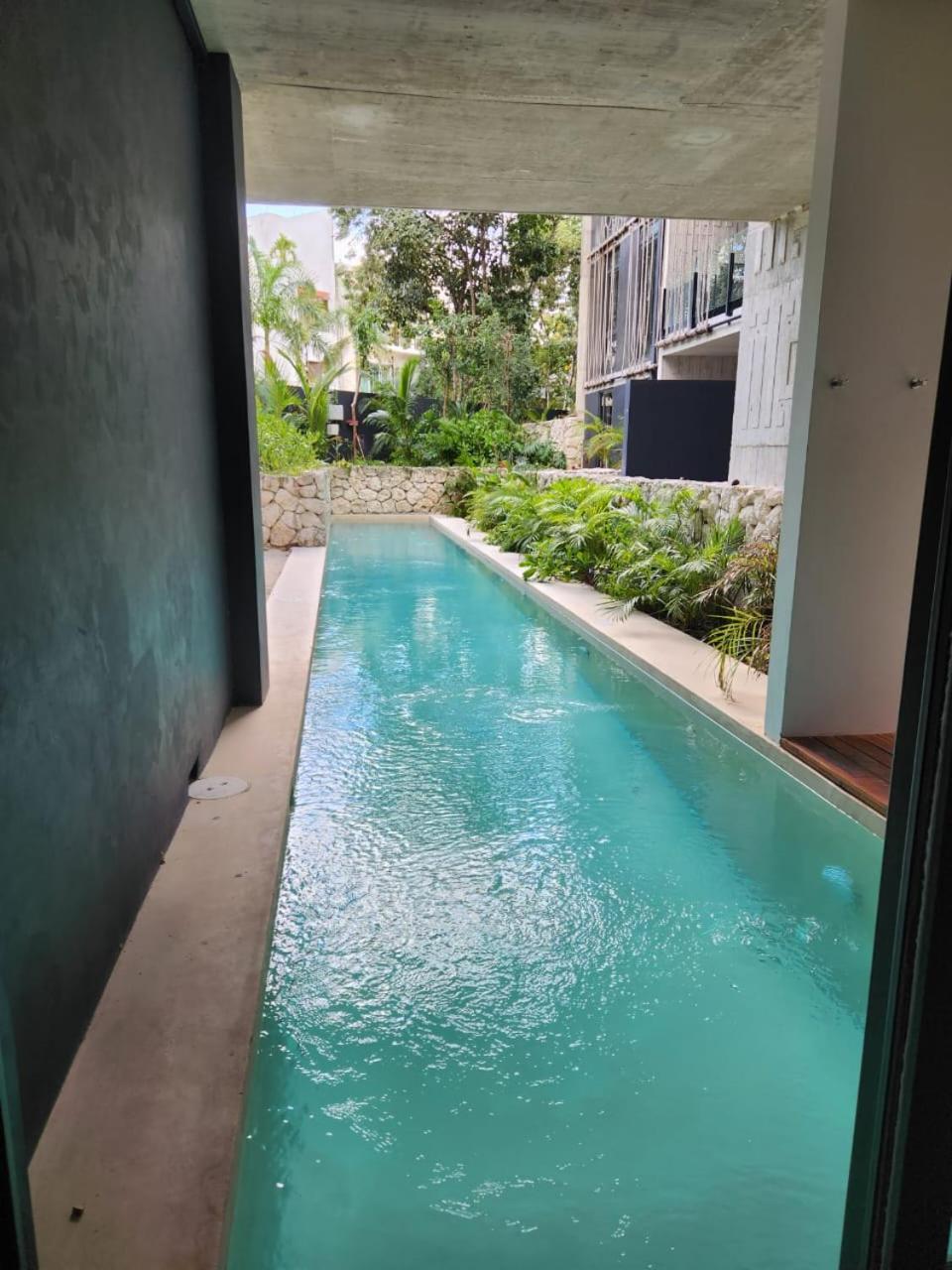 Hermoso Departamento Nuevo Y De Lujo En Tulum.