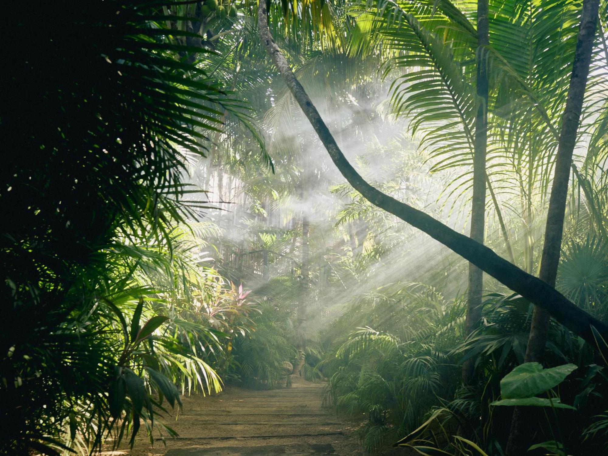 Be Destination (adults Only) 5* Tulum