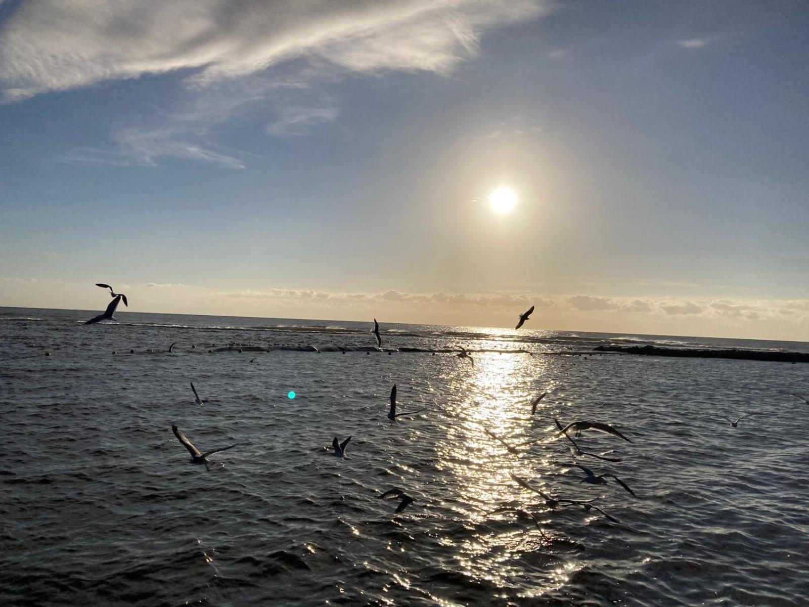 Apartment Departamento 6, Country Home, Con Muelle De Pesca, Club De Playa, Alberca, Cenote Y Campo De Golf, Contrata Day Pass Bahia Principe