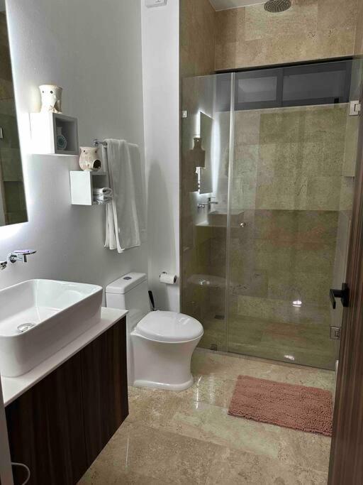 Luxury Rooftop With Private Pool Apartment Tulum