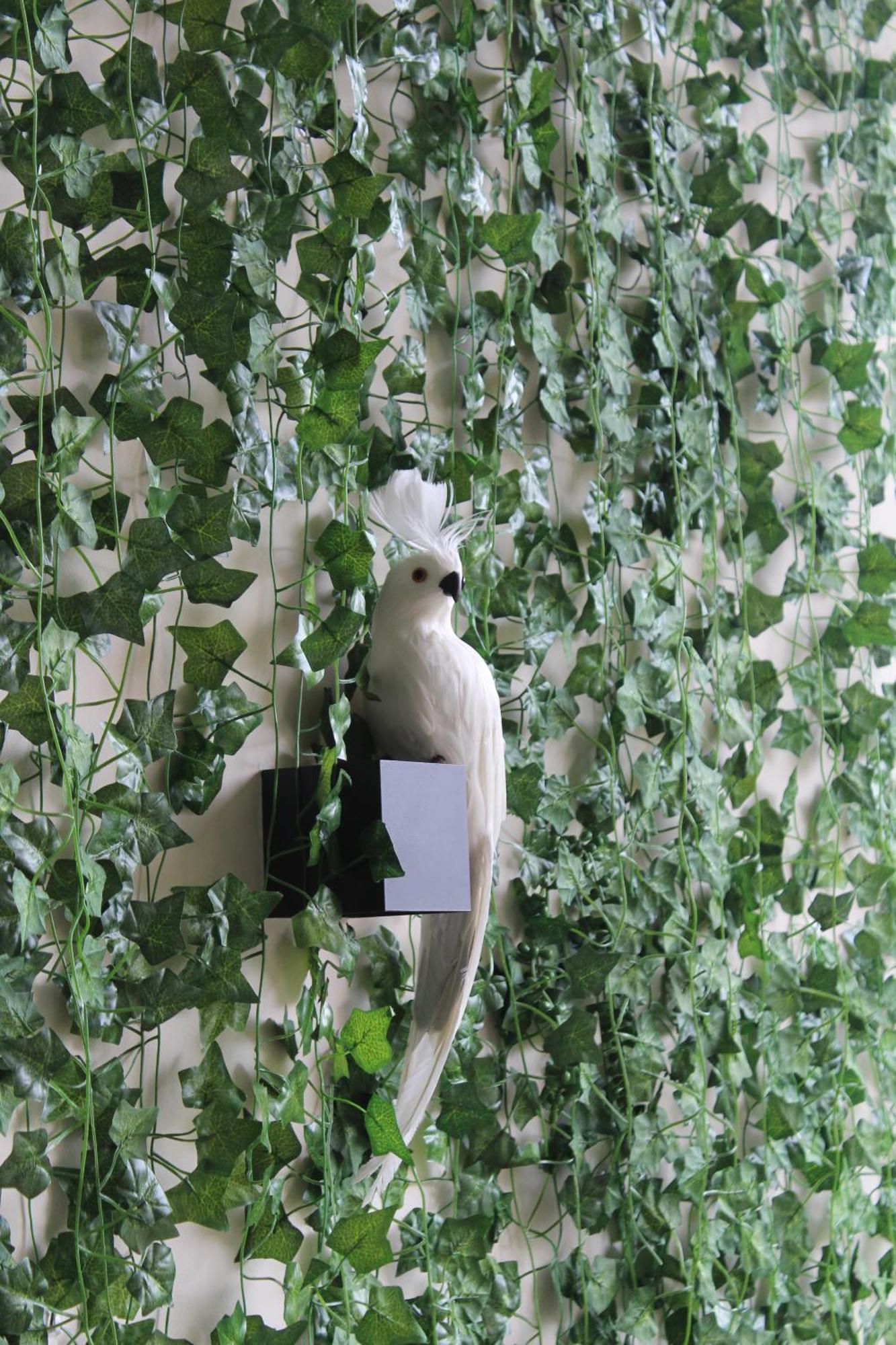 Temple Paradise Luxury 6 Min From Apartment *