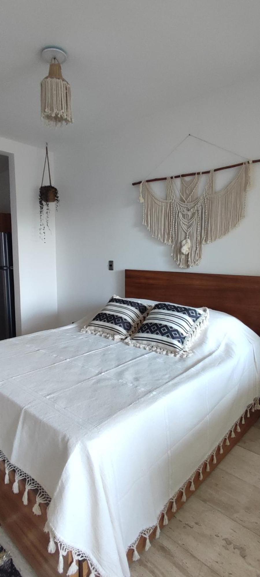 Jungle Oasis Studio: Beachside Retreat With Pool And Amenities Apartment
