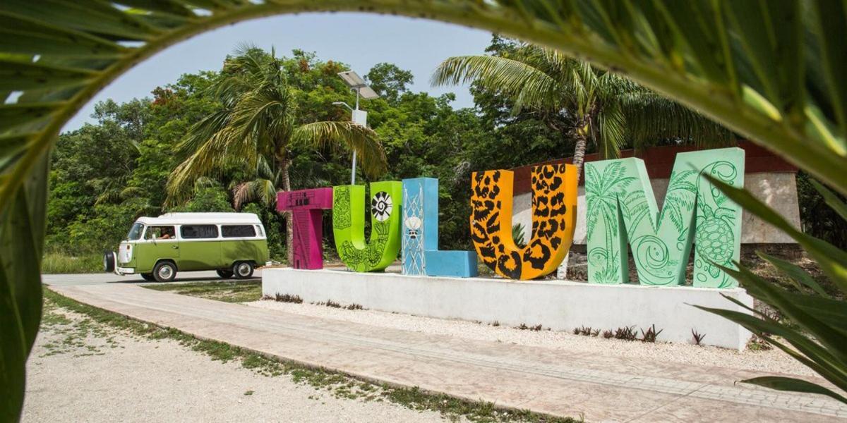 Jungle Oasis Studio: Beachside Retreat With Pool And Amenities Apartment