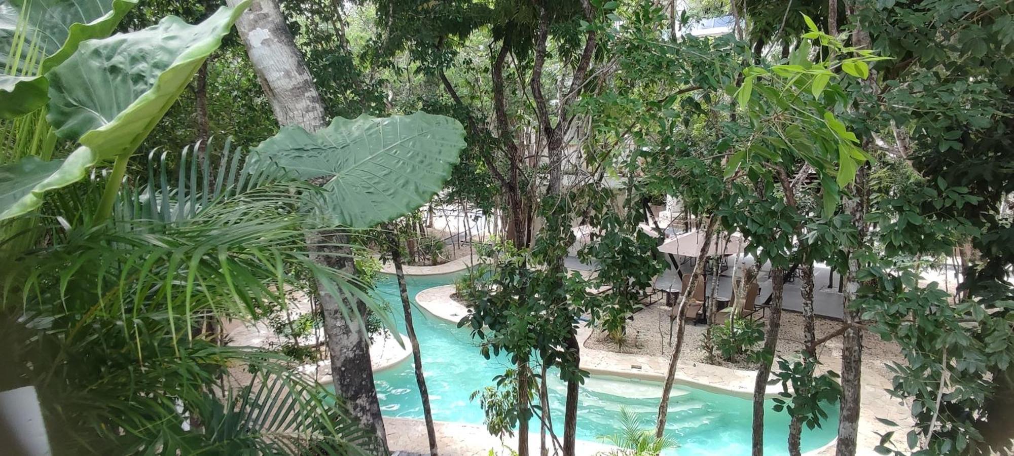 Apartment Jungle Oasis Studio: Beachside Retreat With Pool And Amenities