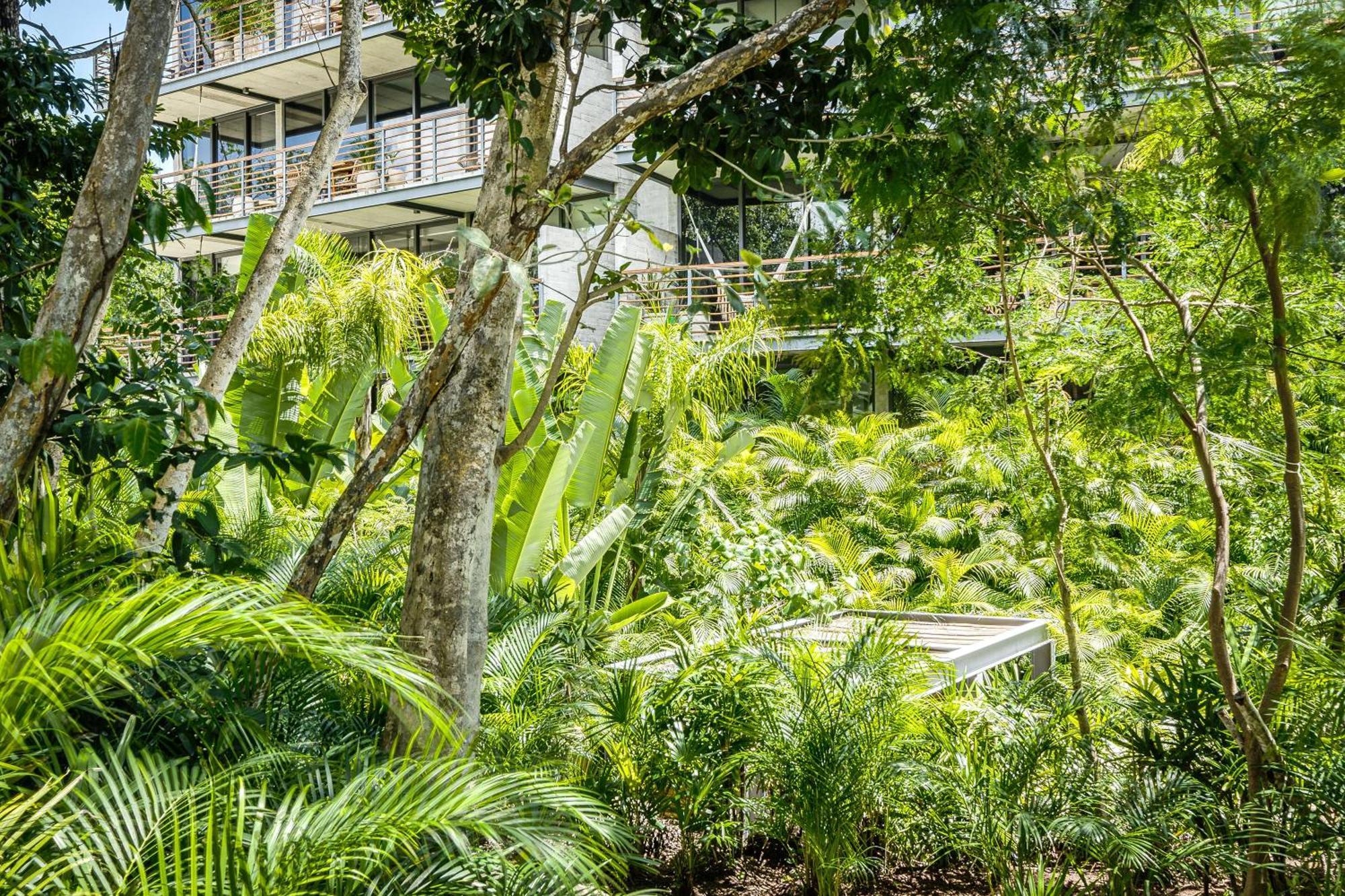 Divine 1br Ph W Private Pool, Cenote, Gym Tulum