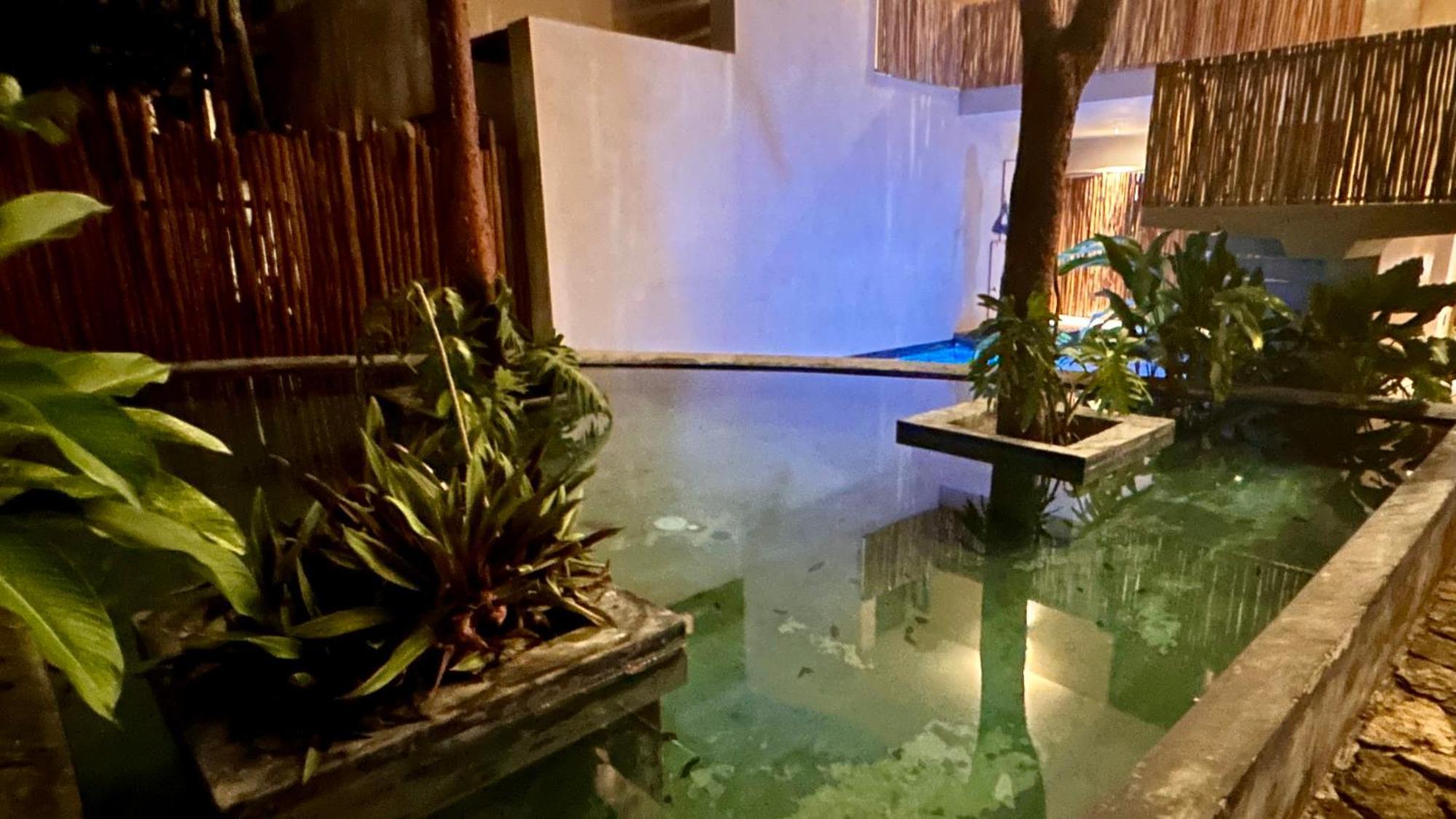 Aparthotel Condohotel Tsonot, En Luum Zama