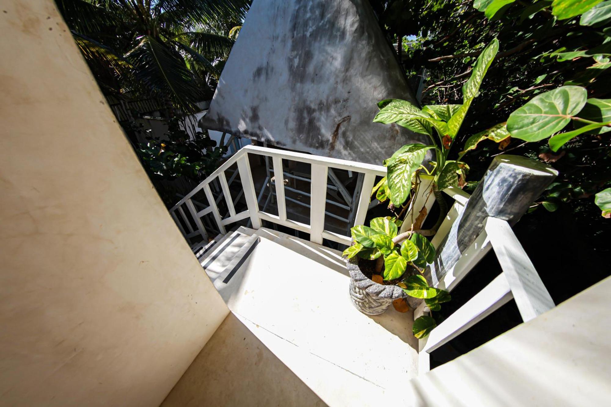 Lamar Front And Pool 3* Tulum