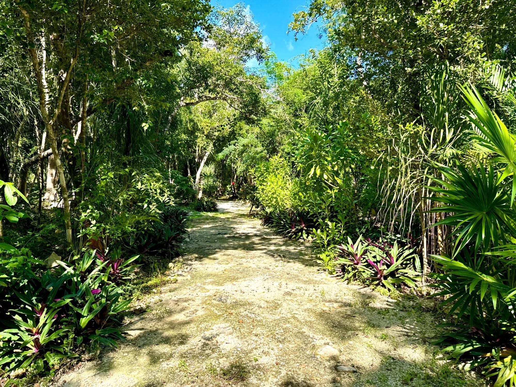 Acampamento Glamping Bunga Lotus Tulum