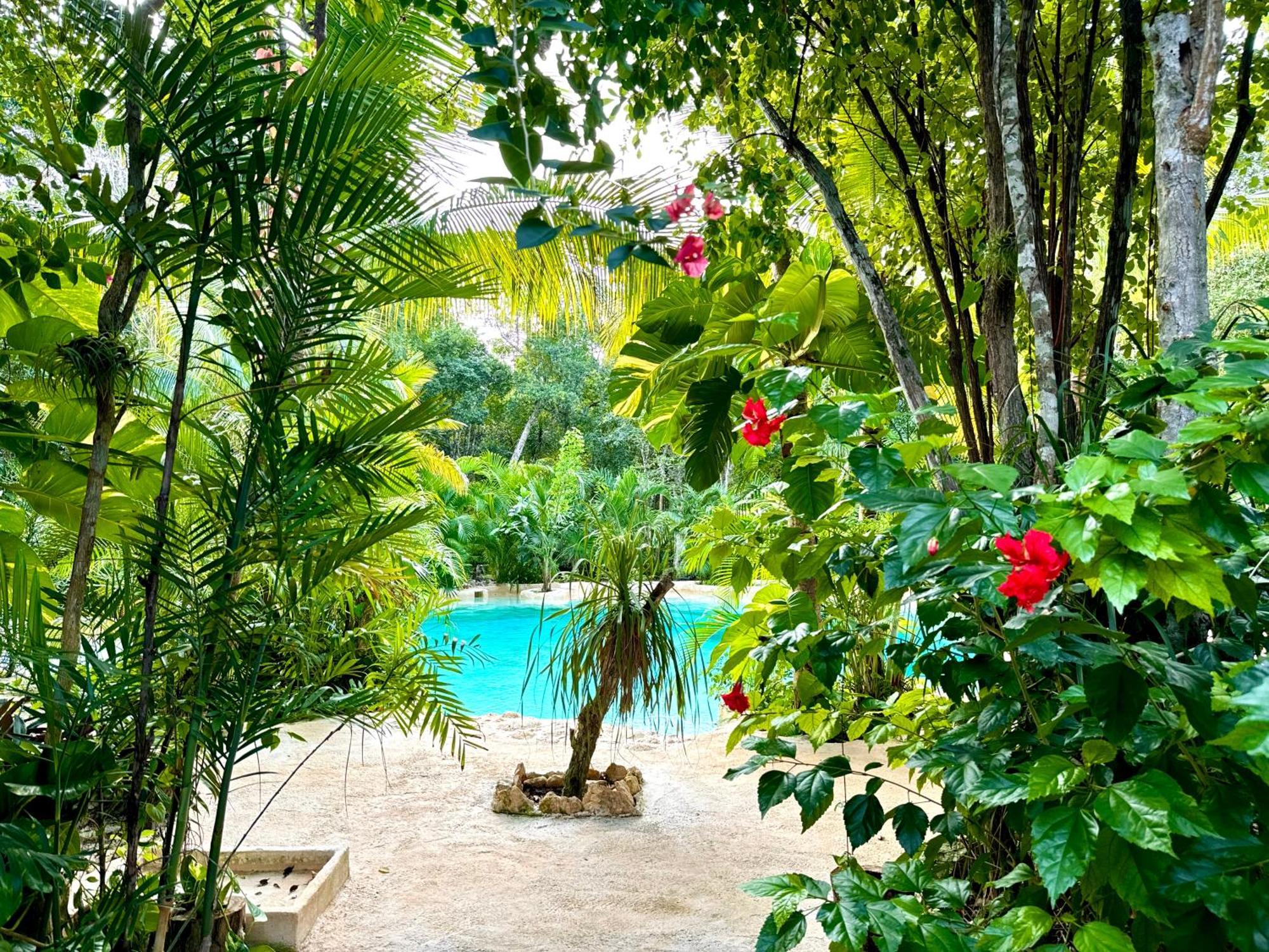Acampamento Glamping Bunga Lotus Tulum
