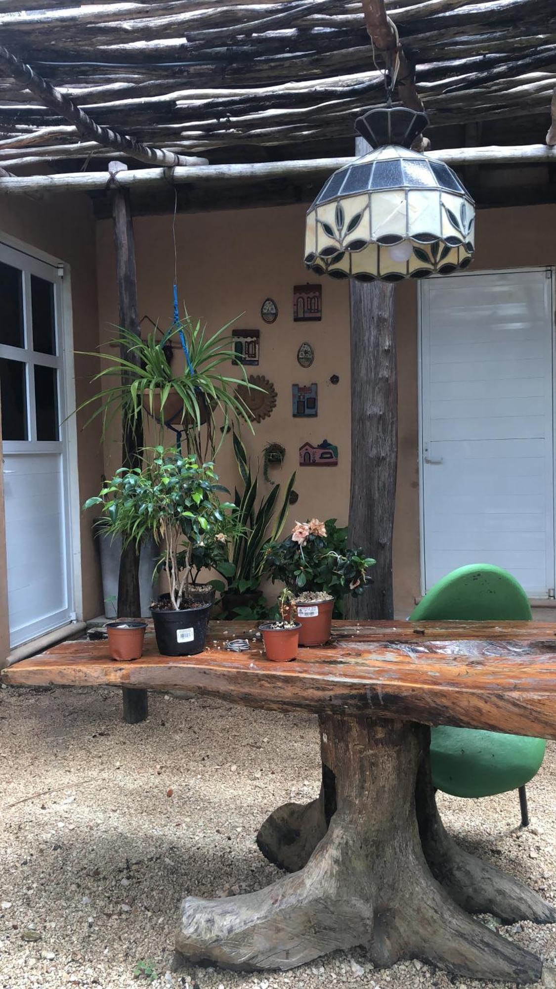 Casa Tzalam Selva 3*