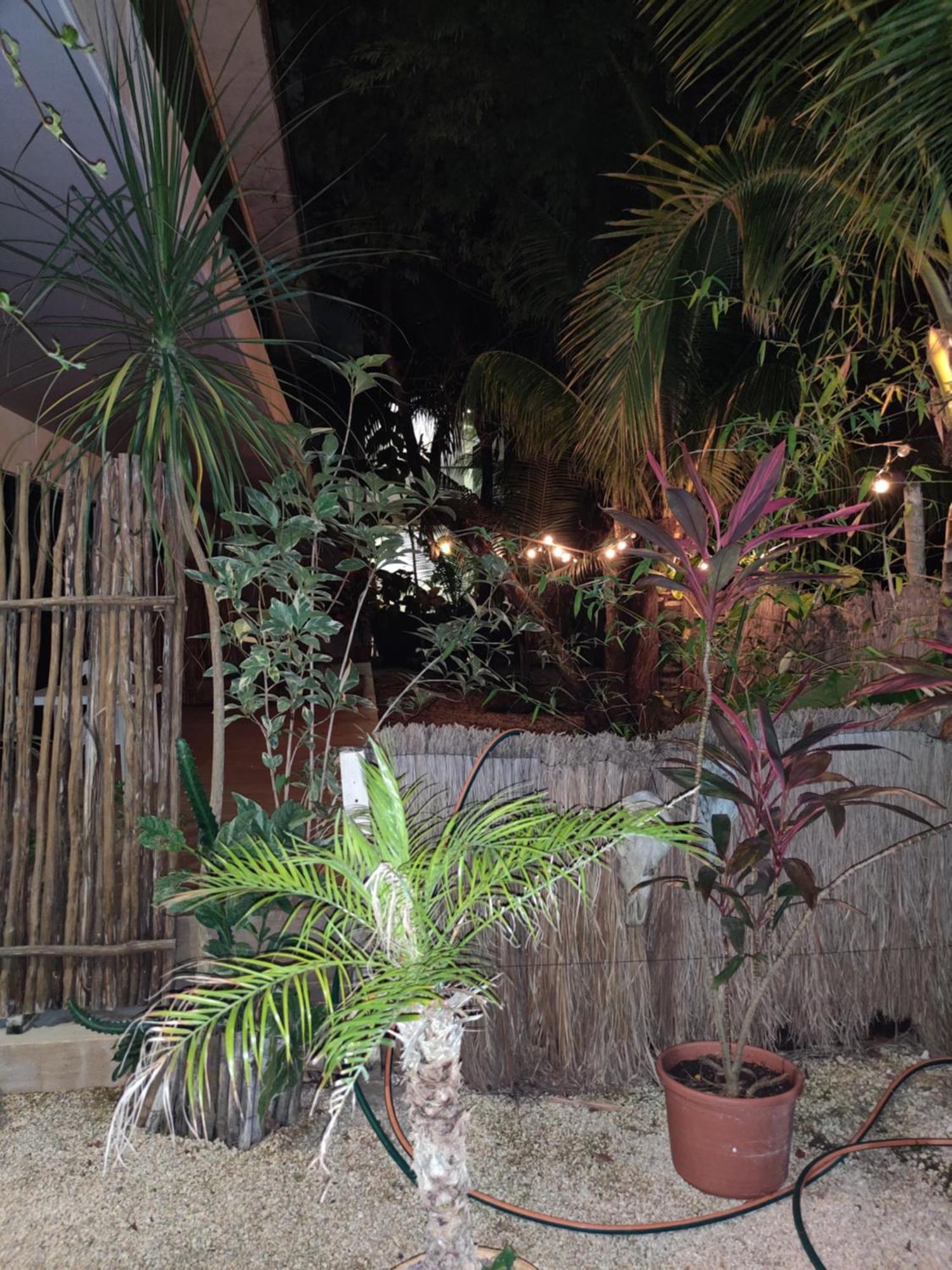 Apartment Cocomobay, Fully Furnished In