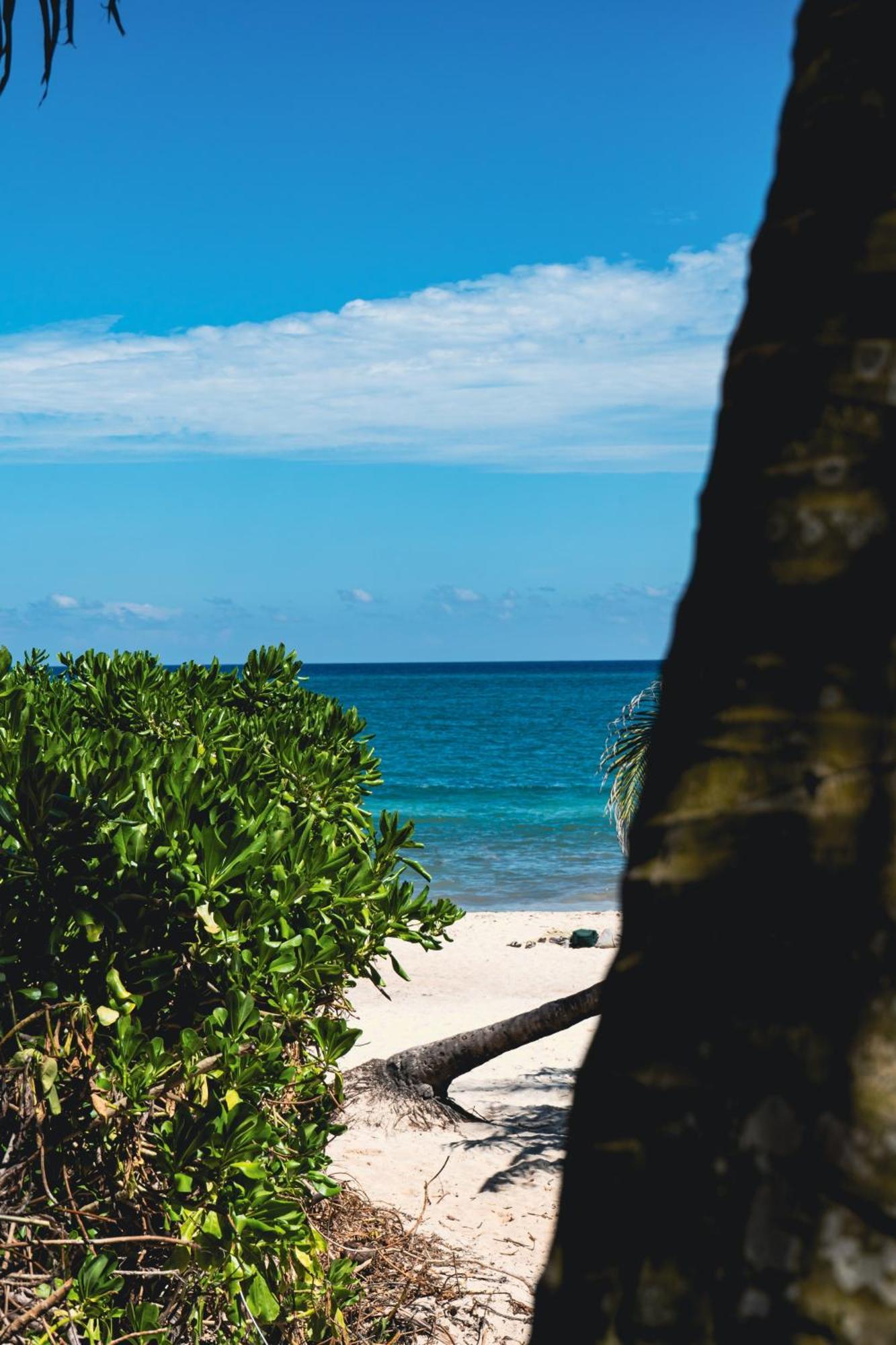 Guest house Tunich Jungle