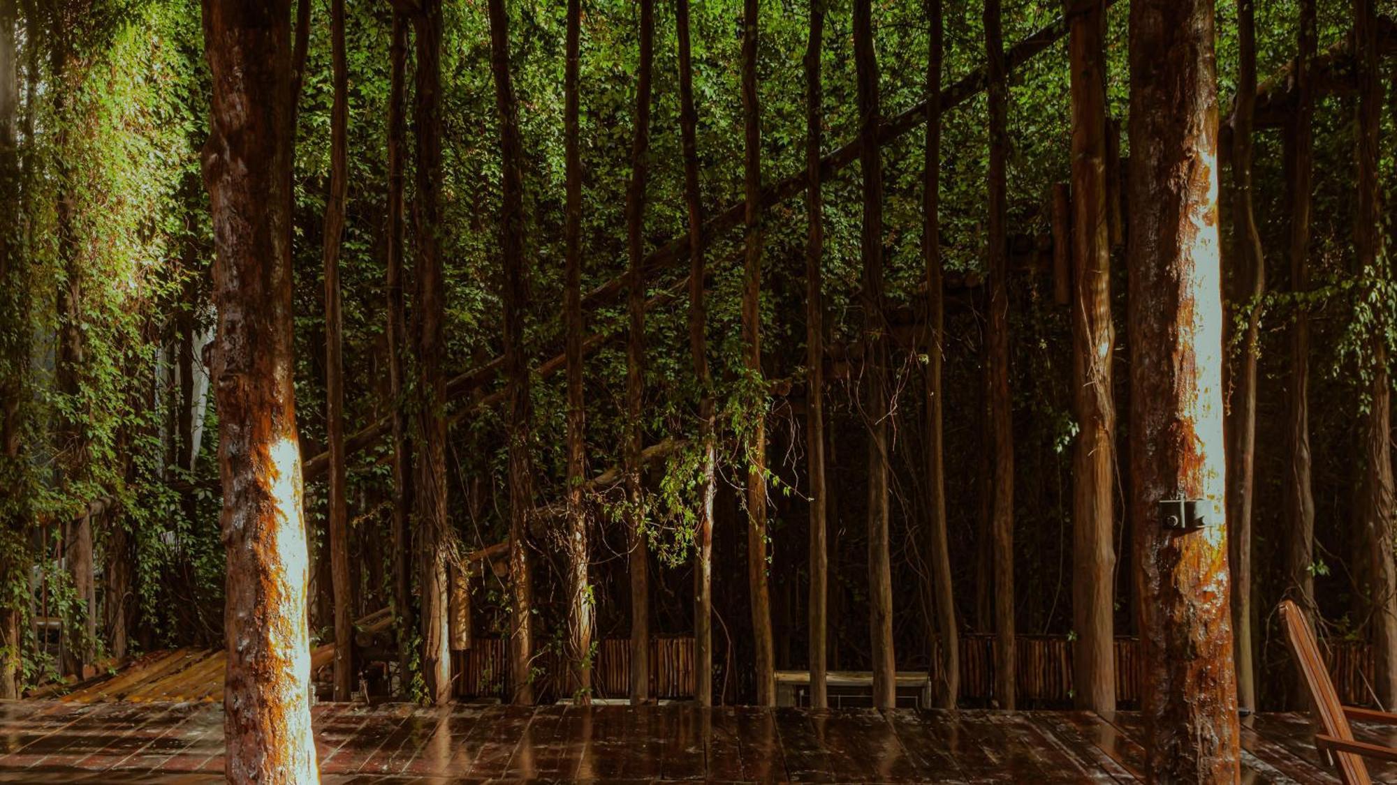 Casa Teka - Boutique & Cenote Tulum