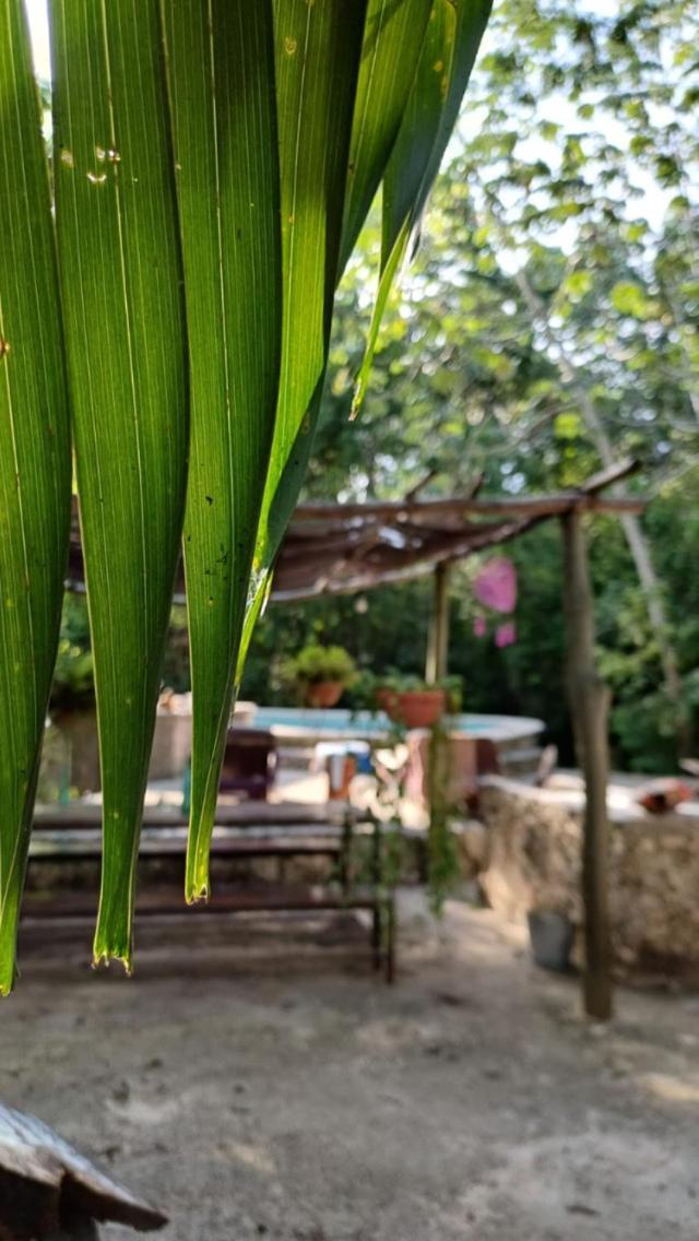 Casa Tzalam Selva 3* Tulum