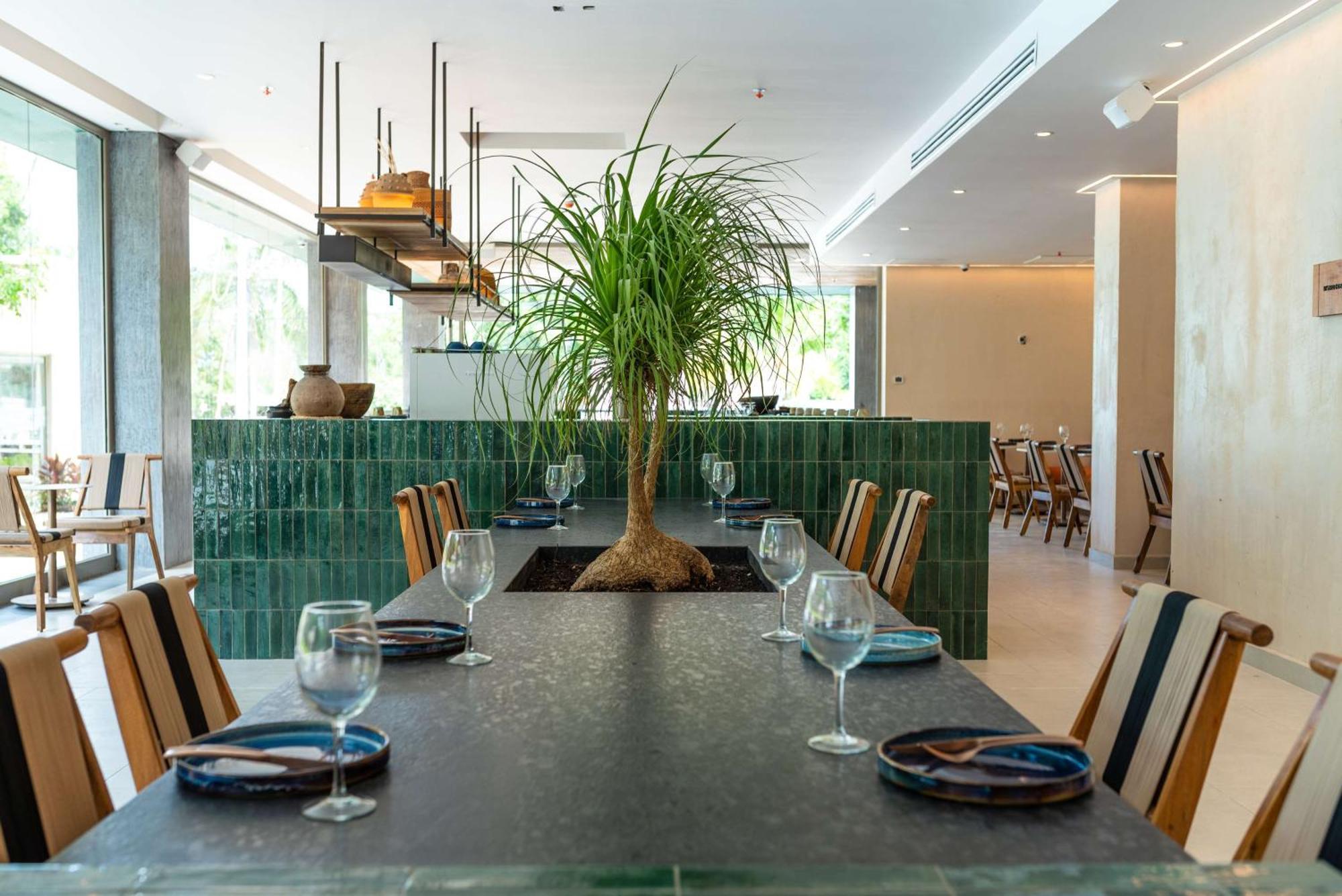 Motto By Hilton Hotel Tulum