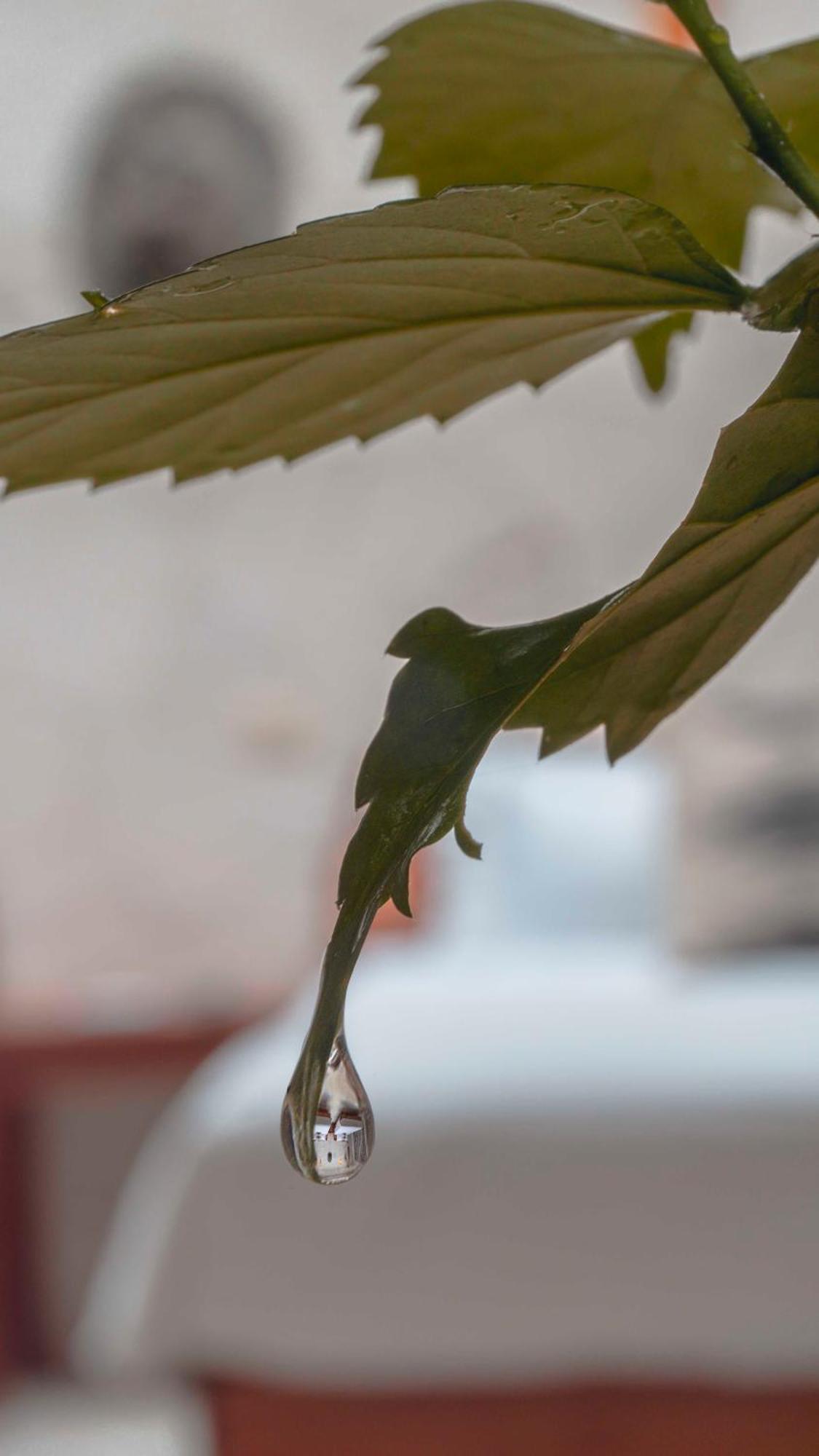 Aparthotel Naats Amigos Tulum