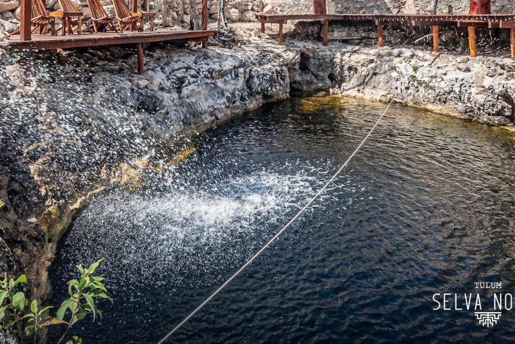 Private Rooftop Penthouse With Pool, Bbq & Jungle View Apartment