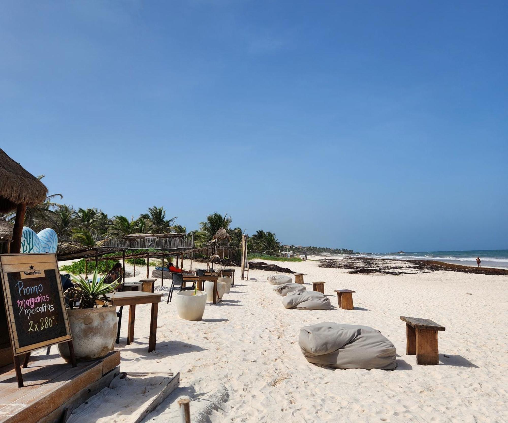 Pal Mar Glamtainer Tulum