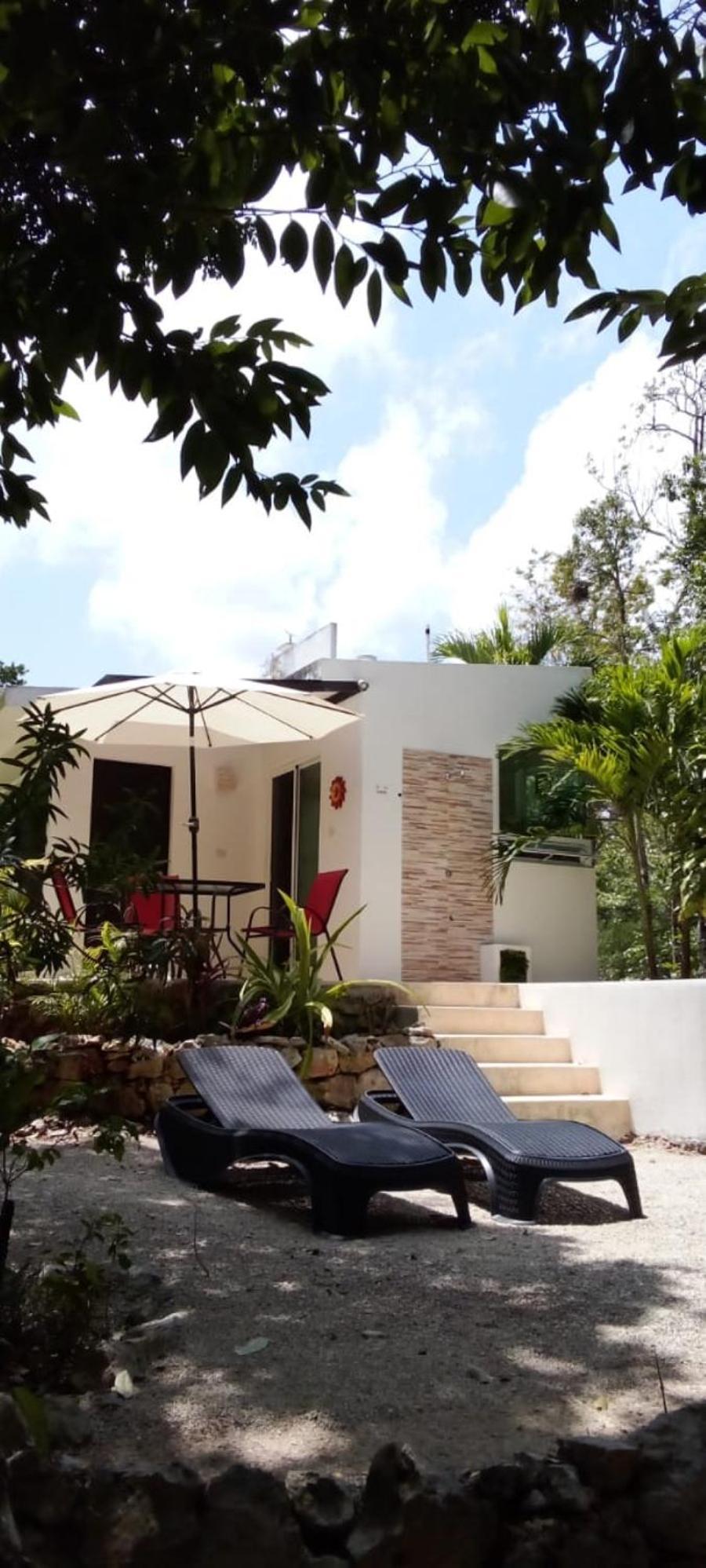 Viila Ixchel Jungle Pool Holiday home Tulum
