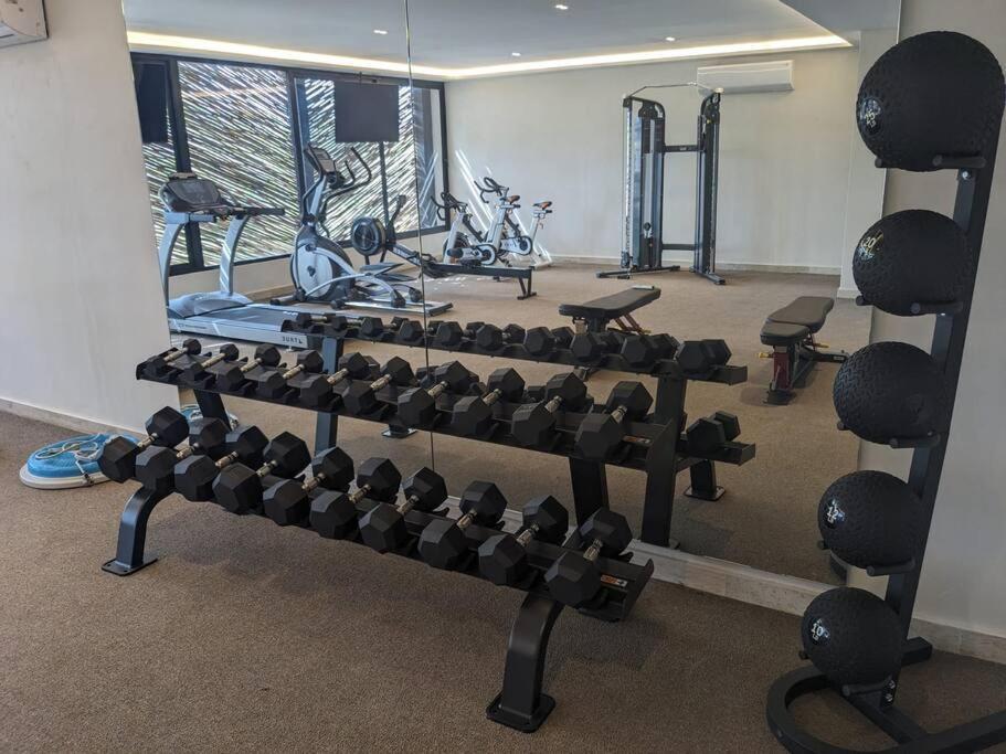 Apartment New Luxury Ph With Private Terrace & Plunge Pool