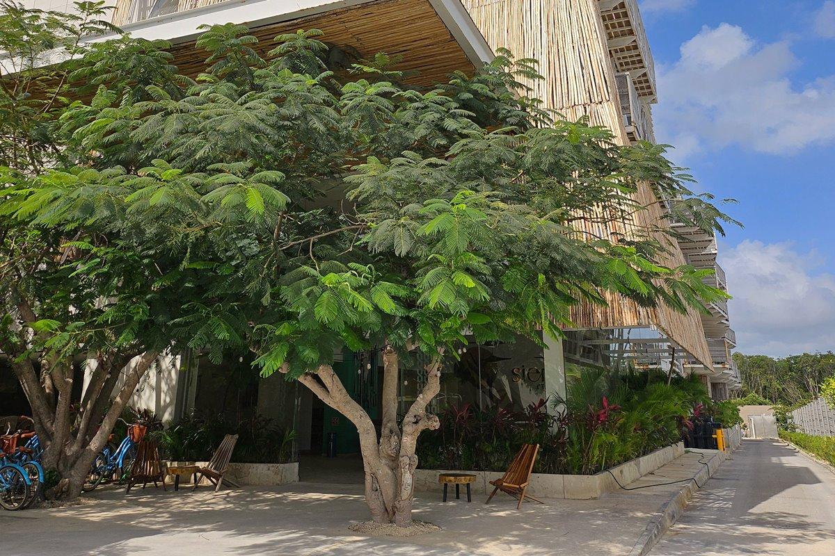 Siente & Cenote Club 4*