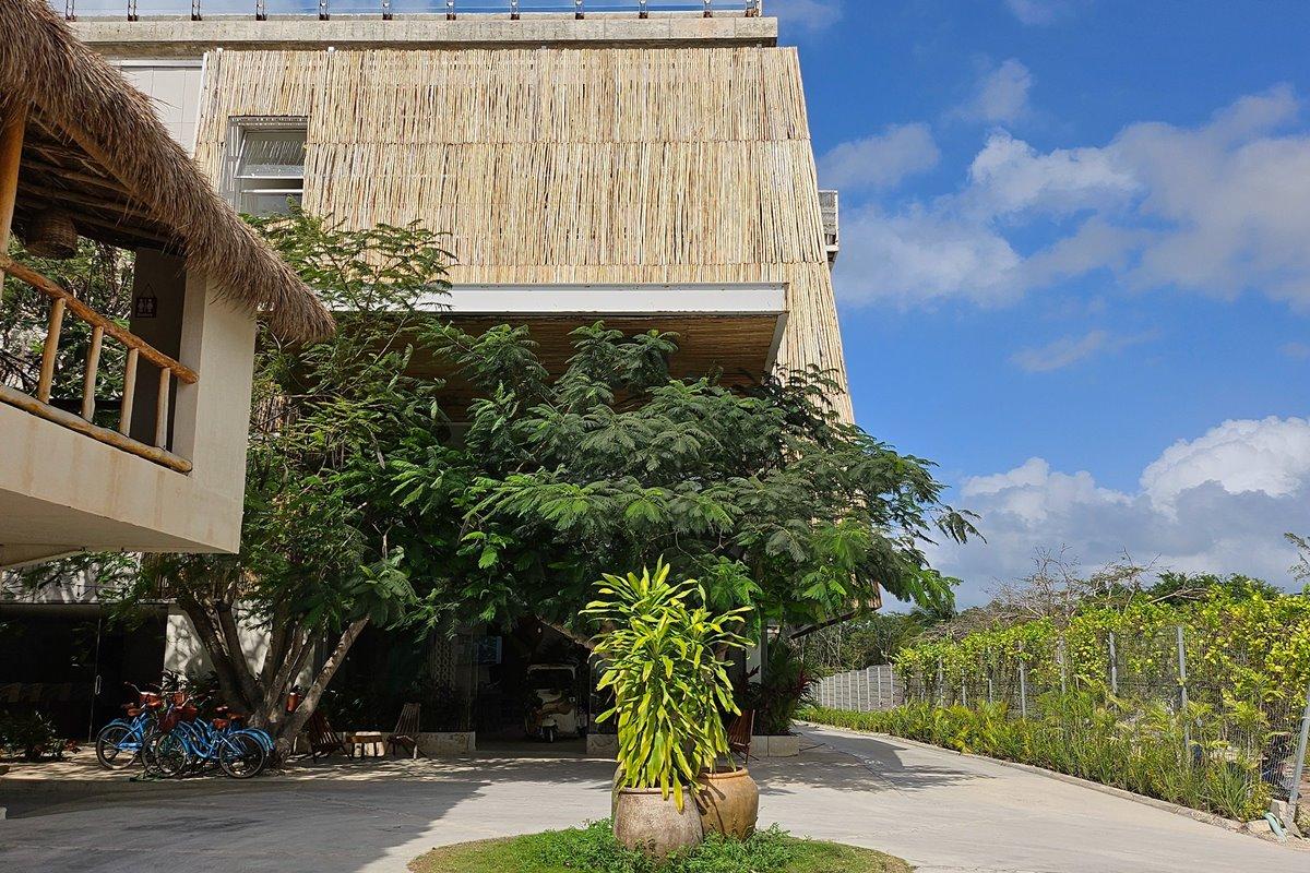 Siente & Cenote Club