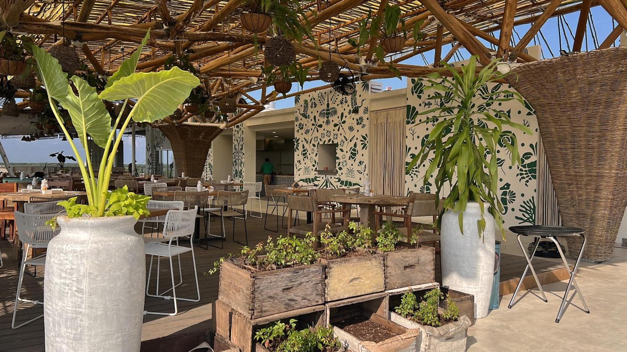 Hotel Siente & Cenote Club