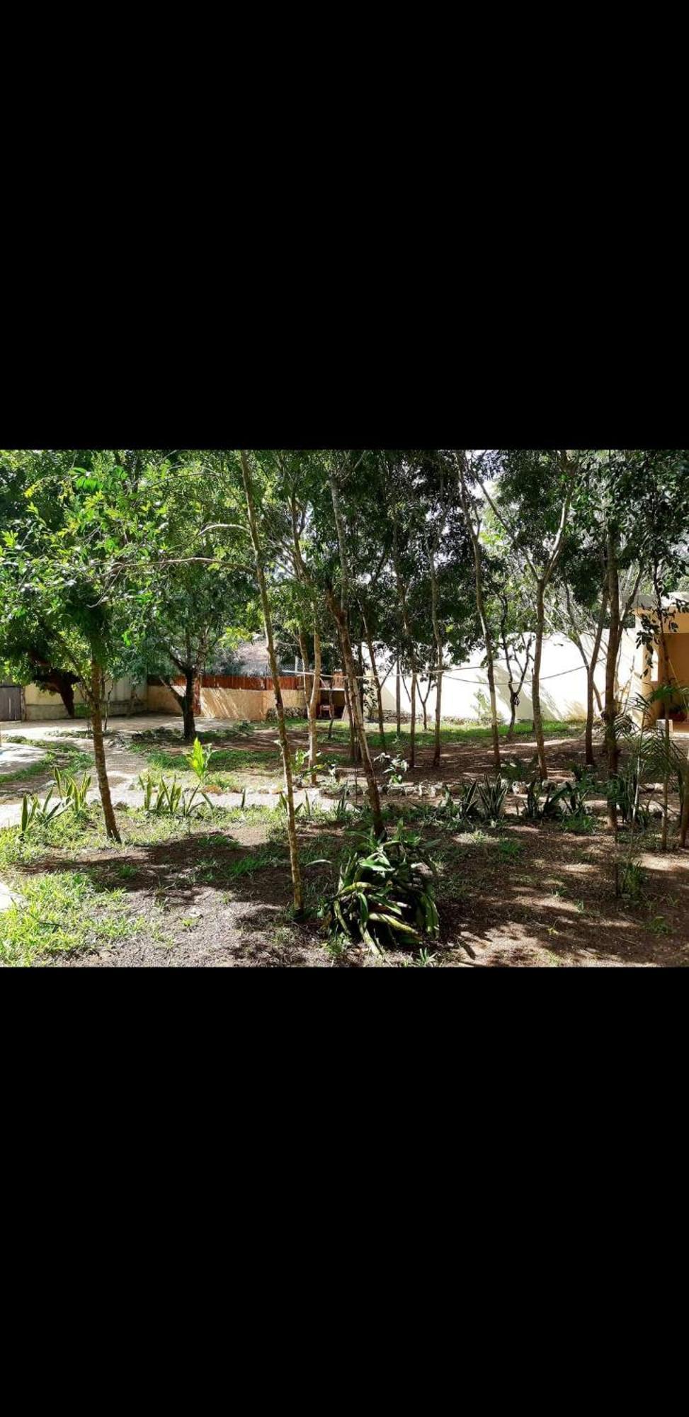 Campsite Luna Y Sombra Tulum