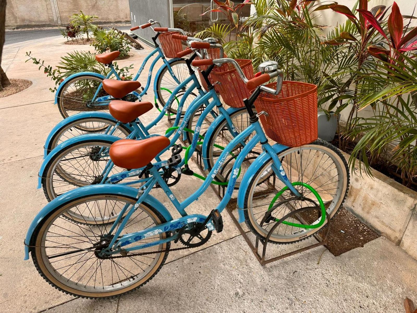 Hotel Siente & Cenote Club 4*