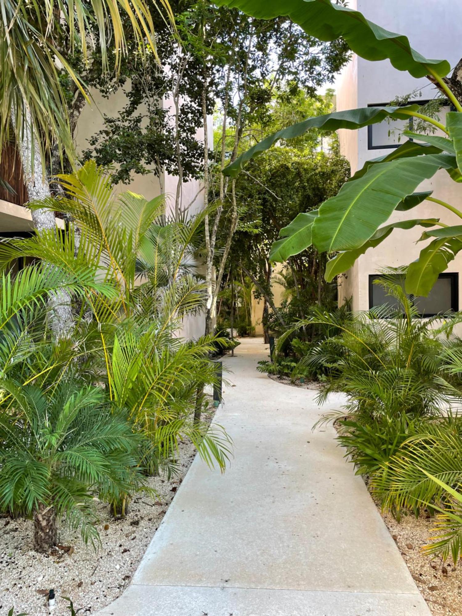 Casa Del Sol * Tulum