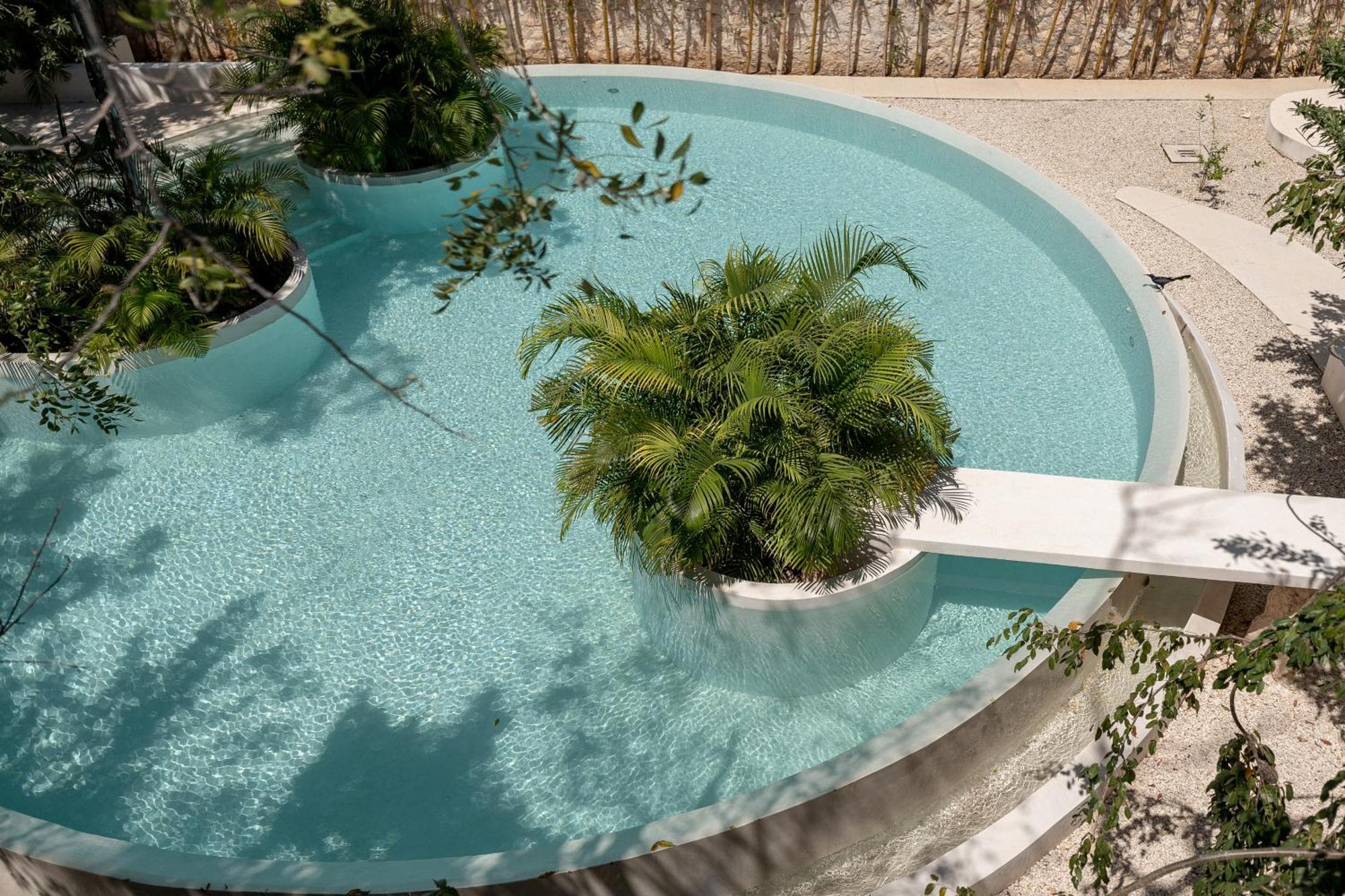 Seremonia By Vida De Playa Apartment *