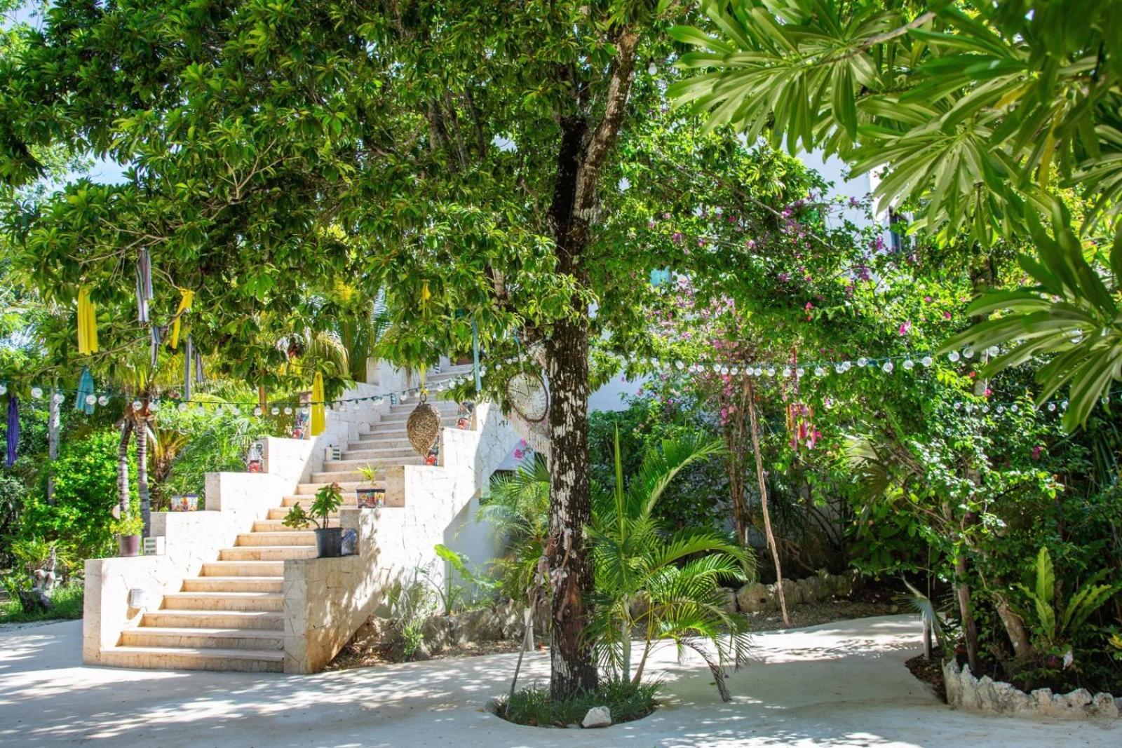 Bed & Breakfast Agua Y Fuego