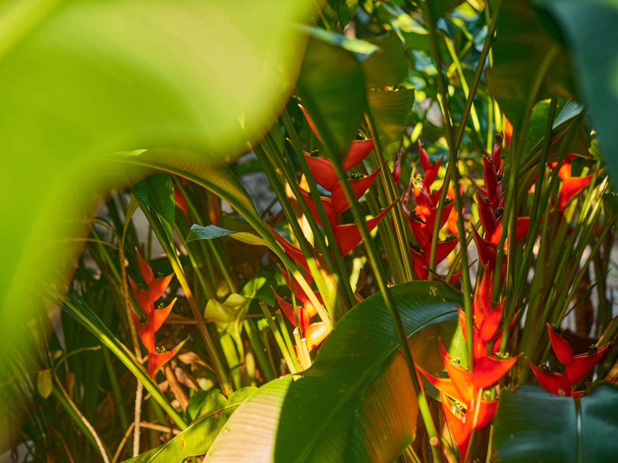 Bed & Breakfast Agua Y Fuego 3*