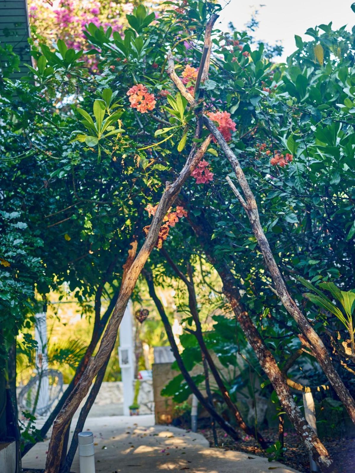 Agua Y Fuego Tulum