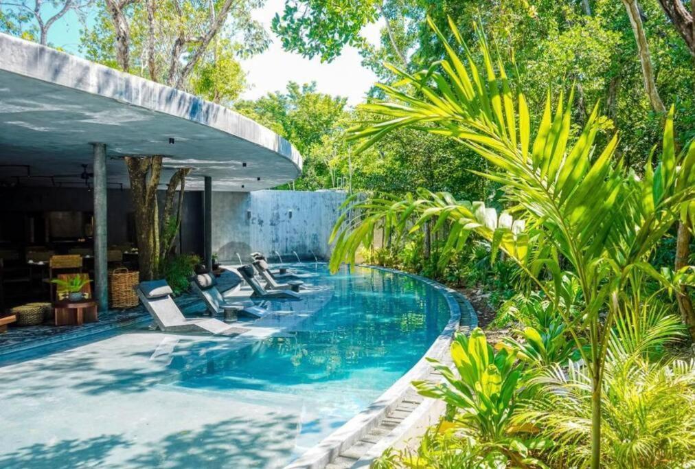 5 Star Luxury With Infinity And Cenote Pools