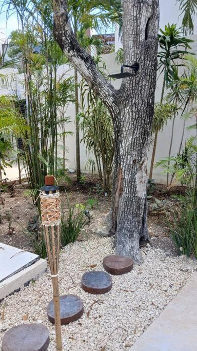 Apartment New Xibalba, Private Jacuzzi & Terrace *