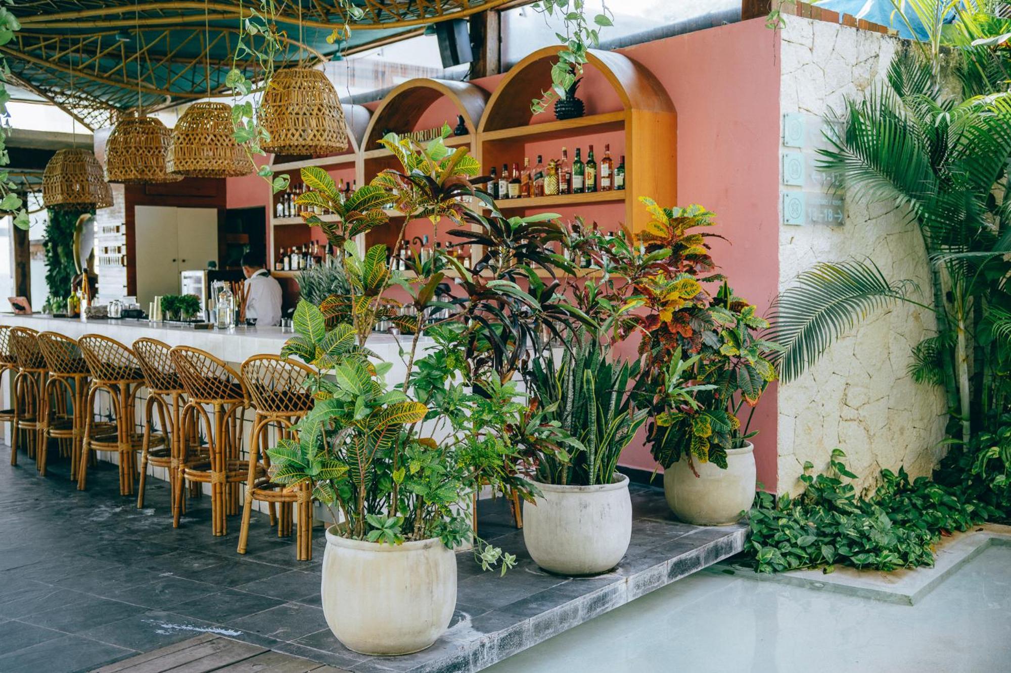 Hotel Mi By La Zebra, An Slh (adults Only)