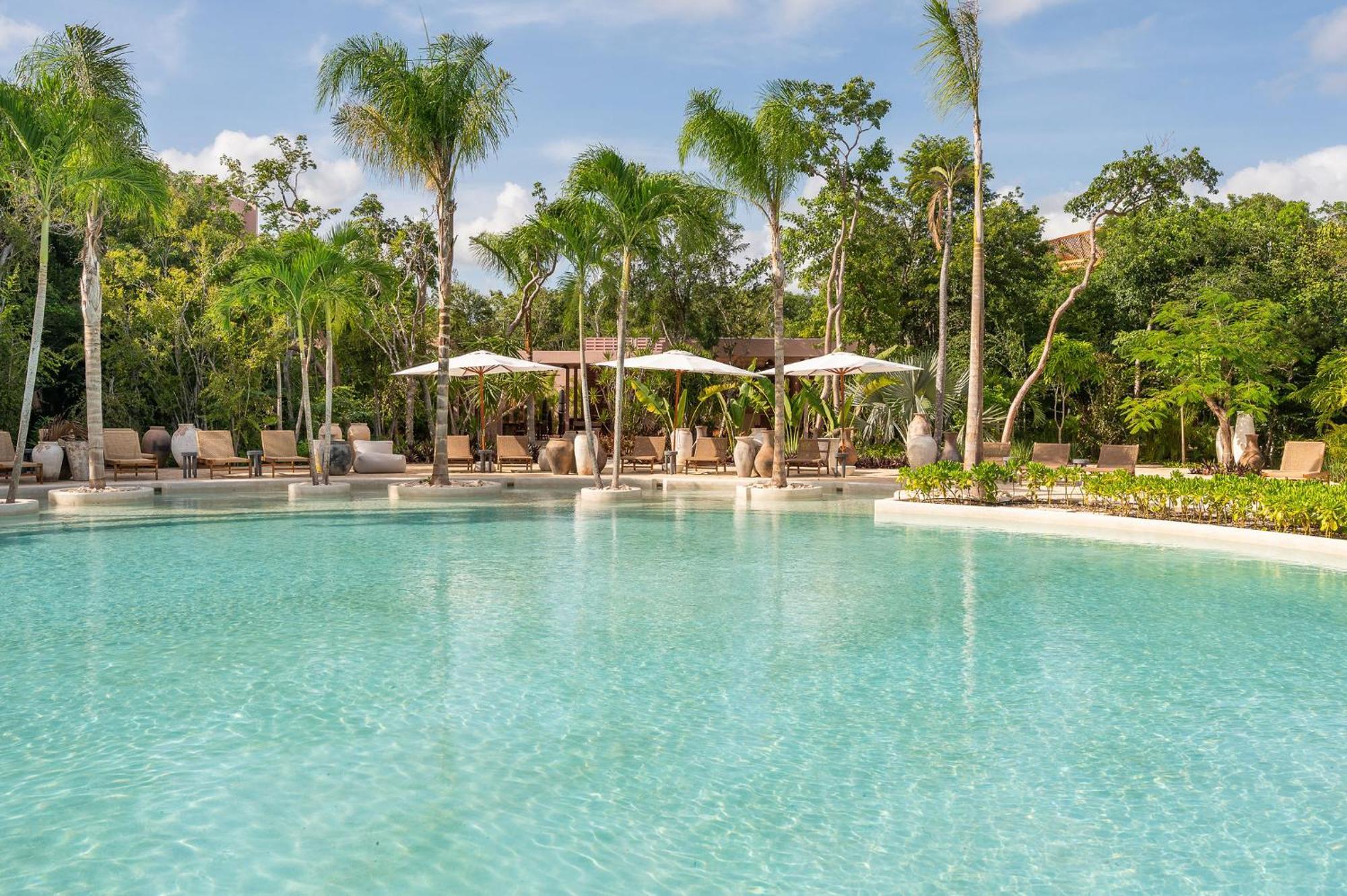 Apartment Amazing 1br Jungle With Restaurant, Pool And Gym